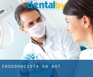 Endodoncista en Bot
