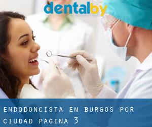 Endodoncista en Burgos por ciudad - página 3