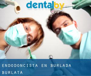Endodoncista en Burlada / Burlata Endodoncista en Burlada / Burlata