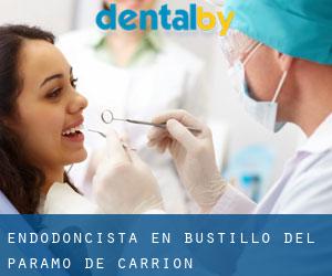 Endodoncista en Bustillo del Páramo de Carrión