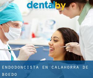 Endodoncista en Calahorra de Boedo