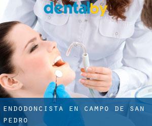 Endodoncista en Campo de San Pedro