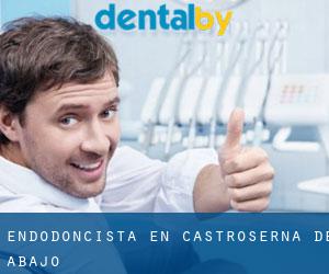 Endodoncista en Castroserna de Abajo