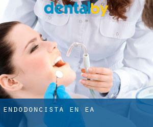 Endodoncista en Ea