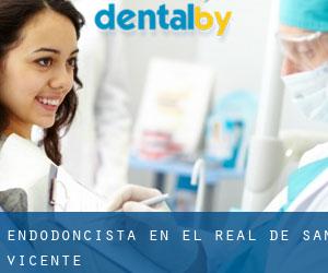 Endodoncista en El Real de San Vicente