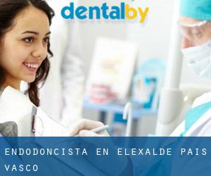 Endodoncista en Elexalde (País Vasco)