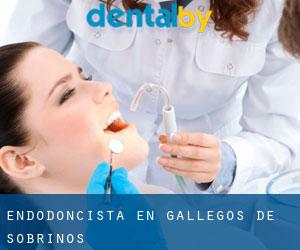 Endodoncista en Gallegos de Sobrinos
