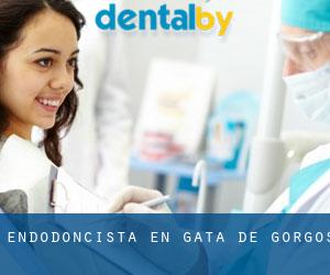 Endodoncista en Gata de Gorgos