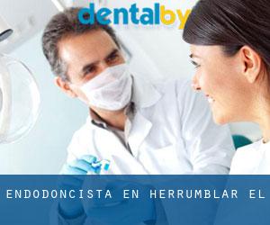 Endodoncista en Herrumblar (El)