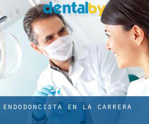 Endodoncista en La Carrera