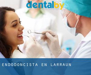 Endodoncista en Larraun