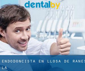 Endodoncista en Llosa de Ranes (la)