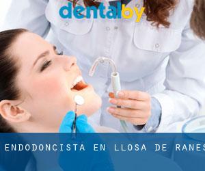 Endodoncista en Llosa de Ranes