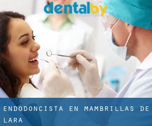 Endodoncista en Mambrillas de Lara