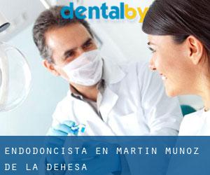Endodoncista en Martín Muñoz de la Dehesa