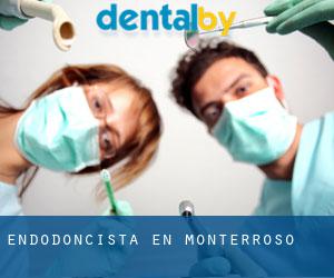 Endodoncista en Monterroso Endodoncista en Monterroso