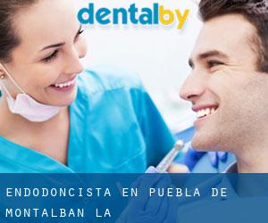 Endodoncista en Puebla de Montalbán (La)