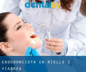 Endodoncista en Riells i Viabrea