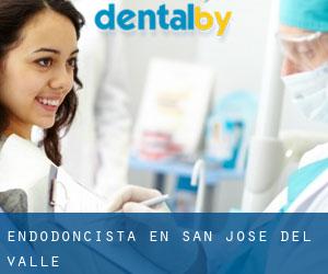Endodoncista en San José del Valle