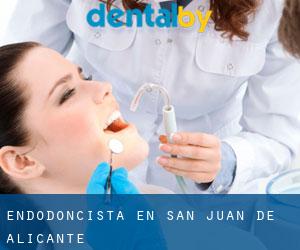 Endodoncista en San Juan de Alicante Endodoncista en San Juan de Alicante