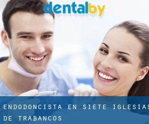 Endodoncista en Siete Iglesias de Trabancos