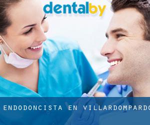 Endodoncista en Villardompardo
