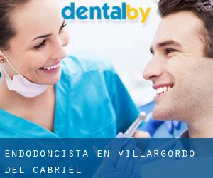 Endodoncista en Villargordo del Cabriel