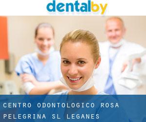 Centro Odontologico Rosa Pelegrina SL (Leganés)