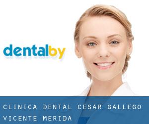 Clinica dental César Gallego Vicente (Mérida)