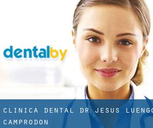 Clínica Dental Dr. Jesús Luengo (Camprodon)