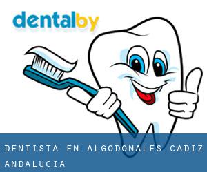 dentista en Algodonales (Cádiz, Andalucía)