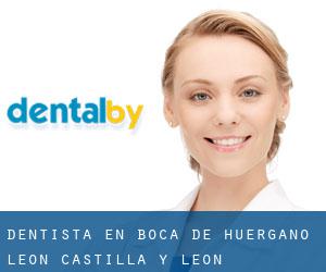 dentista en Boca de Huérgano (León, Castilla y León)