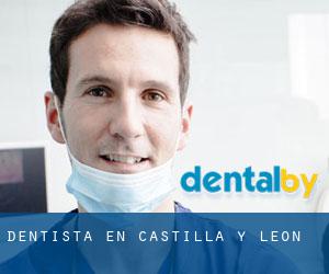 dentista en Castilla y León