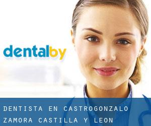 dentista en Castrogonzalo (Zamora, Castilla y León)