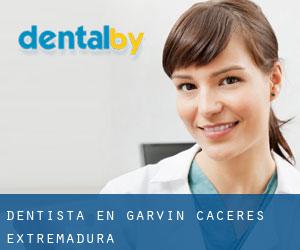 dentista en Garvín (Cáceres, Extremadura)