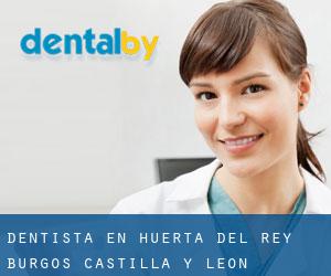 dentista en Huerta del Rey (Burgos, Castilla y León)