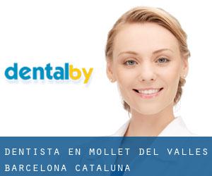 dentista en Mollet del Vallès (Barcelona, Cataluña)