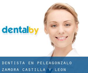 dentista en Peleagonzalo (Zamora, Castilla y León)