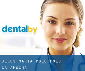 Jesús María Polo Polo (Calamocha)